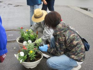 2025年5月25日　寄せ植え1